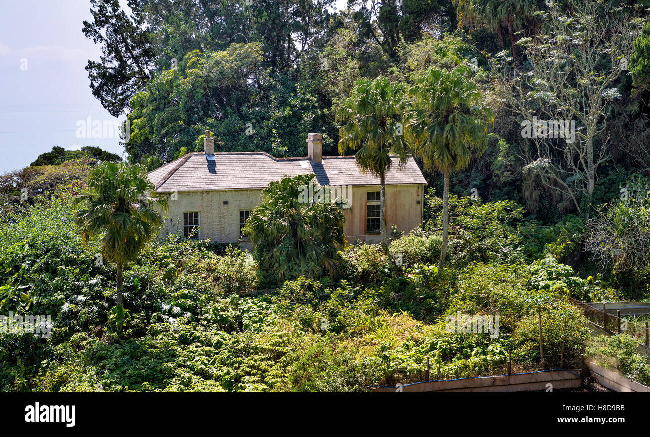 Old House with overgrown garden on Green mountain Ascension Island