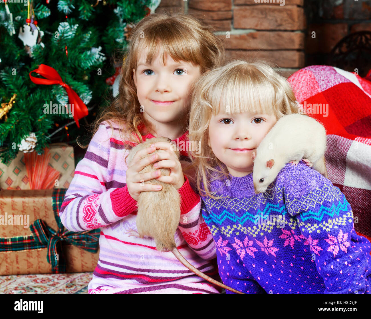 two happy sisters with pet rats at home with Christmas tree Stock Photo