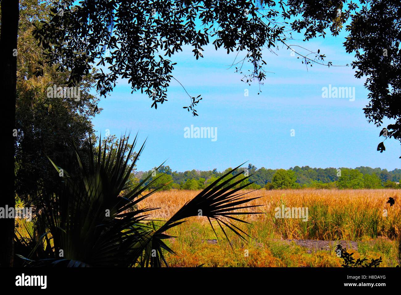 Bog gardens hires stock photography and images Alamy