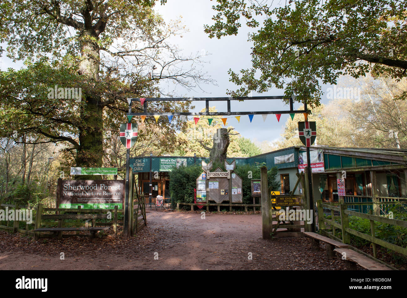 Sherwood Forest Visitor Centre, Nottinghamshire Stock Photo Alamy