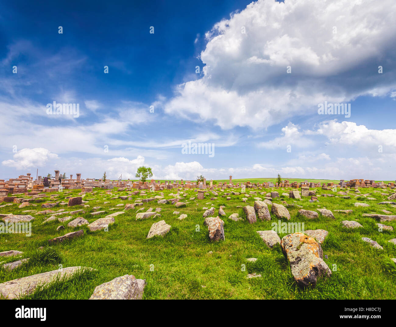 Lawn stones hi-res stock photography and images - Alamy