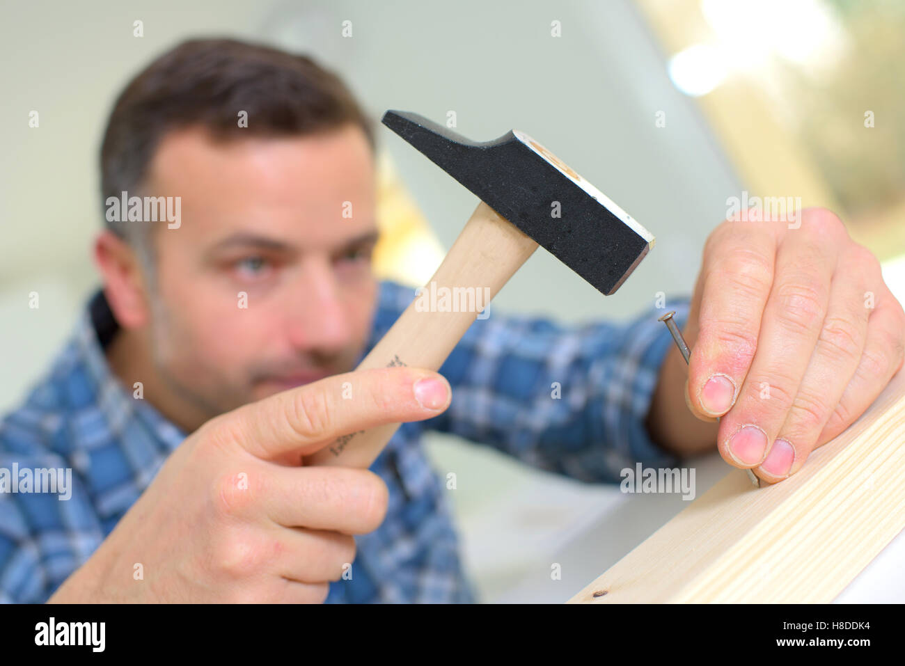 Hammer about to strike a nail