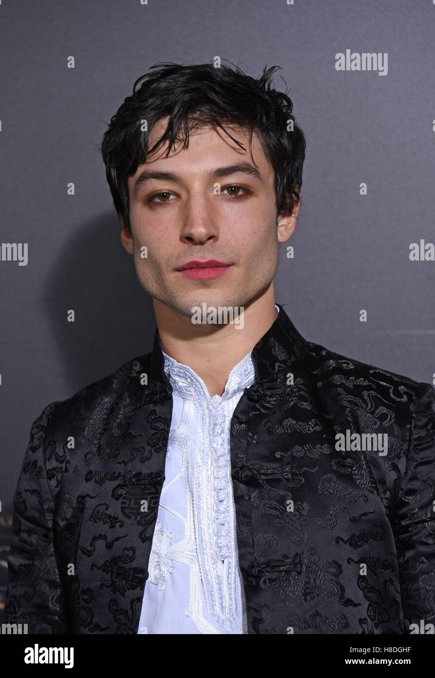 Ezra miller fantastic hi-res stock photography and images - Alamy