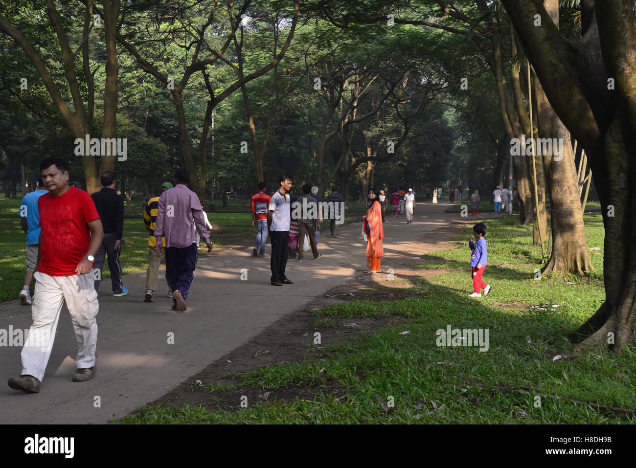 Bangladeshi Peoples are walking for good health at winter morning in the Ramna Park in Dhaka, Bangladesh. On November 11, 2016 Credit:  Mamunur Rashid/Alamy Live News Stock Photo