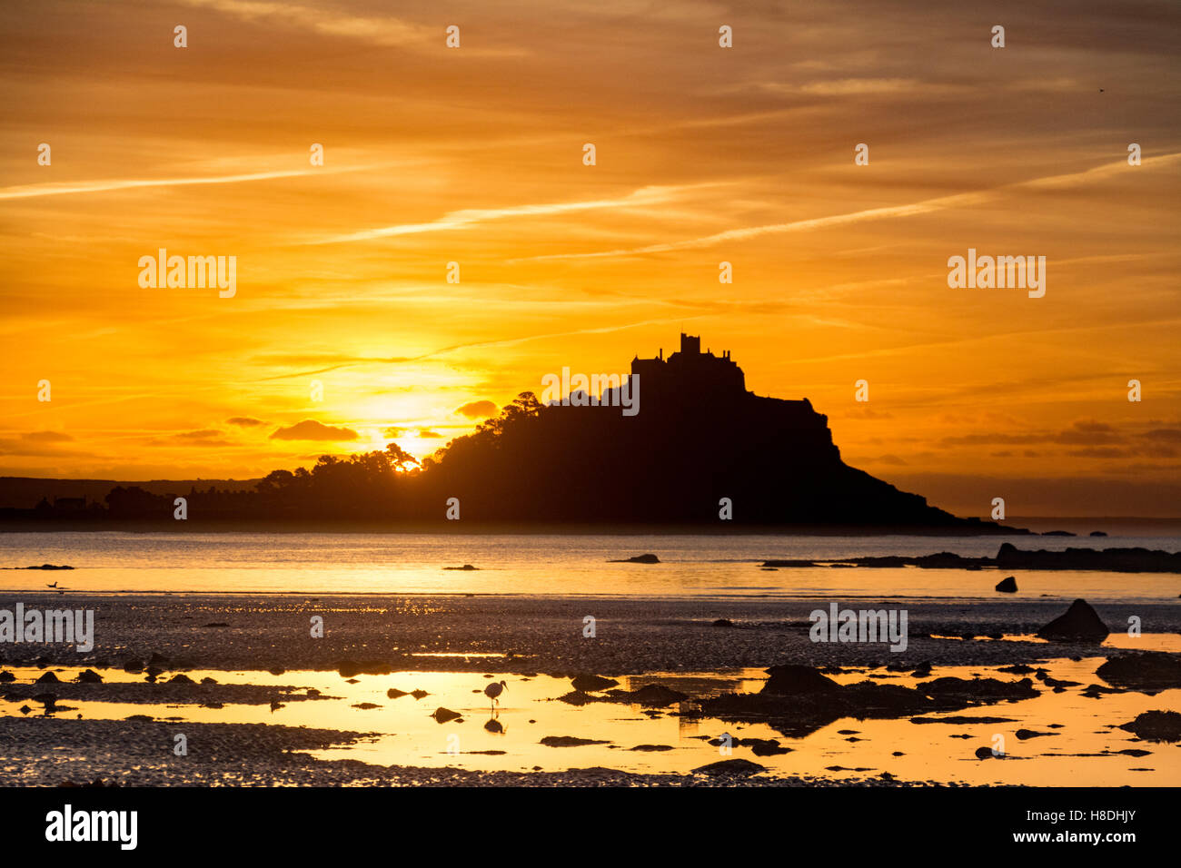 Long Rock, Cornwall, UK. 11th Nov, 2016. UK Weather. A little Egret feeding in front of St Michaels Mount. Credit:  Simon Maycock/Alamy Live News Stock Photo