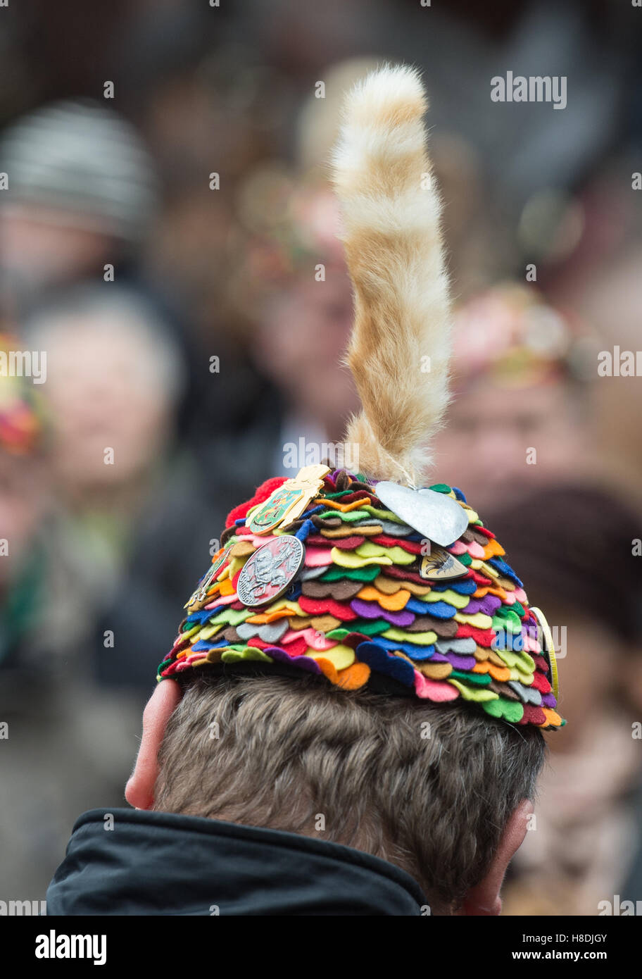 Freiburg, Germany. 11th Nov, 2016. Members of the Carnival club of Freiburg standing in front of the city hall during the traditional keg tapping in Freiburg, Germany, 11 November 2016. The carnivalists wear a colourful fool's hat with a cat's tail. PHOTO: PATRICK SEEGER/dpa/Alamy Live News Stock Photo