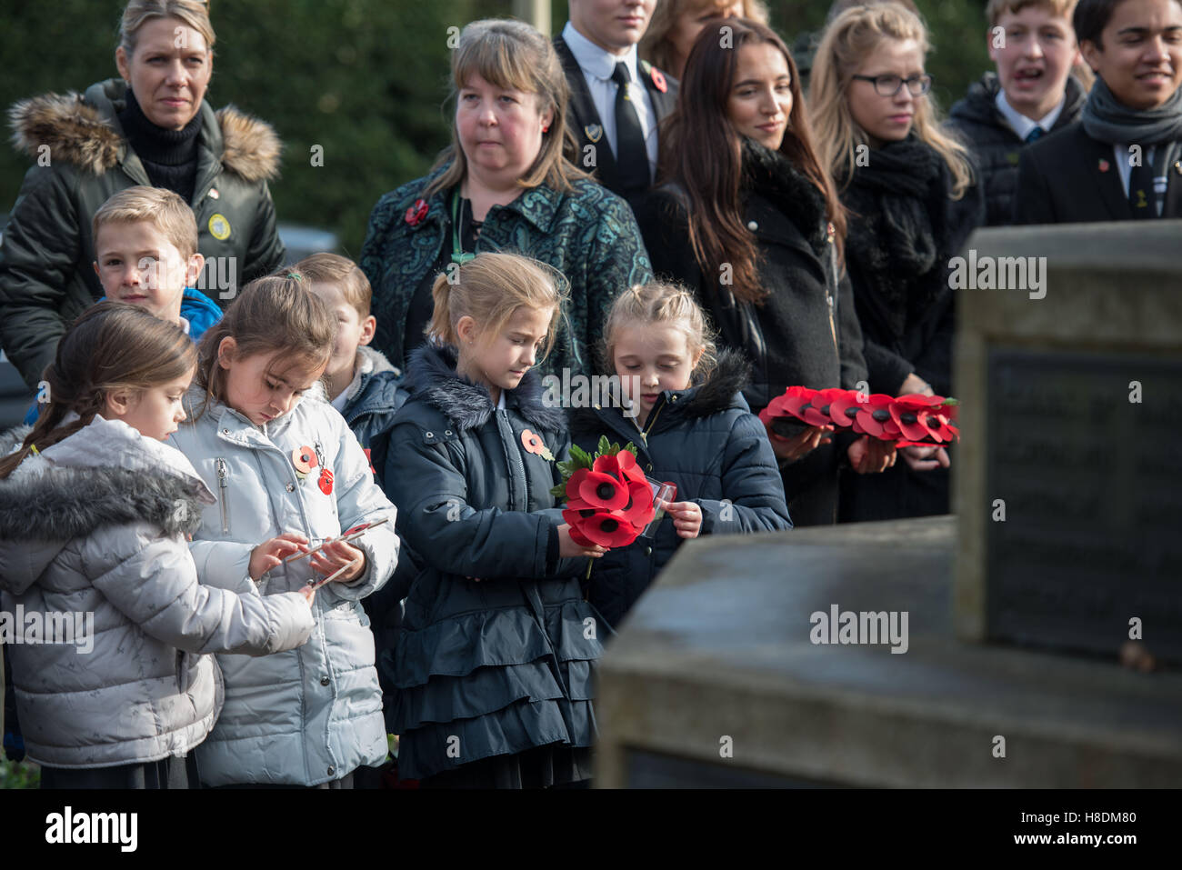 Brentwood, Essex, 11th November 2016, SSchool children ,  Armistice Day in Brentwood, Essex Credit:  Ian Davidson/Alamy Live News Stock Photo