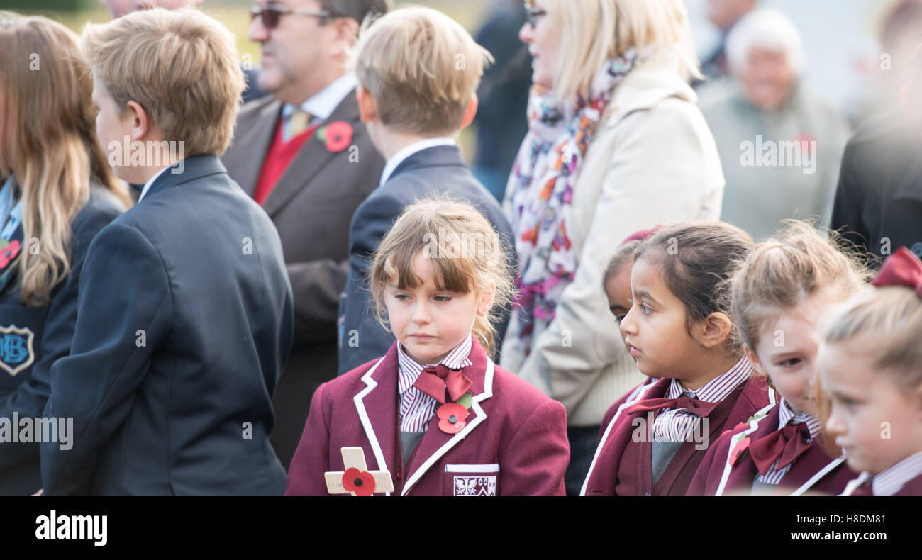 Brentwood, Essex, 11th November 2016, School children ,  Armistice Day in Brentwood, Essex Credit:  Ian Davidson/Alamy Live News Stock Photo