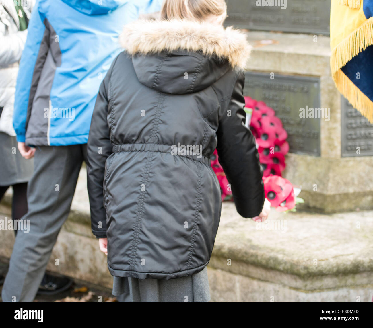 Brentwood, Essex, 11th November 2016, children lay poppies, s,  Armistice Day in Brentwood, Essex Credit:  Ian Davidson/Alamy Live News Stock Photo