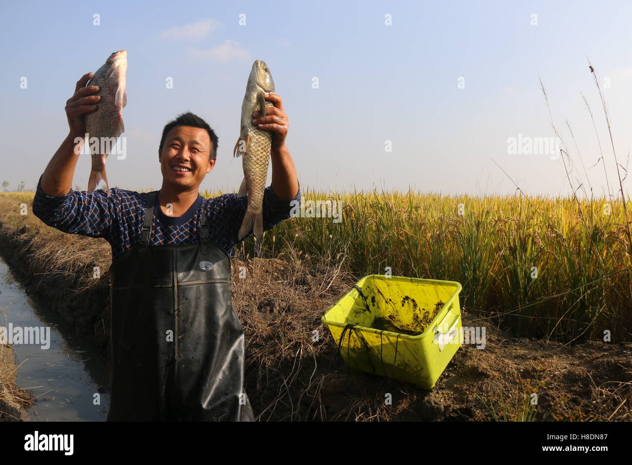 Bengbu, Bengbu, China. 11th Nov, 2016. Bengbu, CHINA-November 11 2016 ...