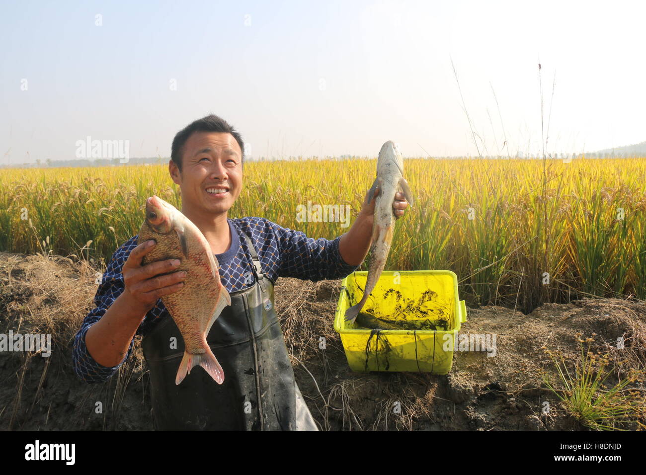 Bengbu, Bengbu, China. 11th Nov, 2016. Bengbu, CHINA-November 11 2016 ...