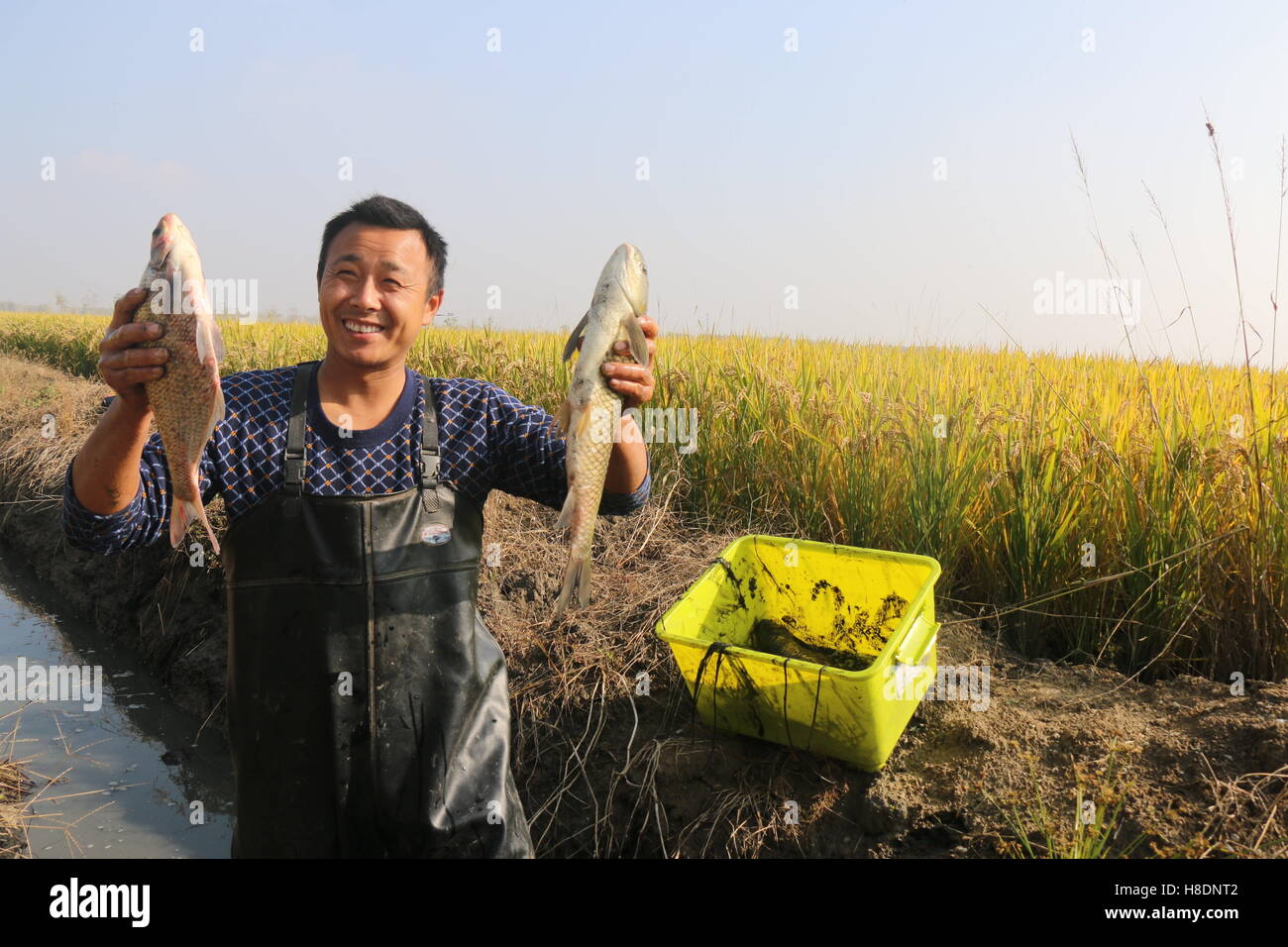 Bengbu, Bengbu, China. 11th Nov, 2016. Bengbu, CHINA-November 11 2016 ...