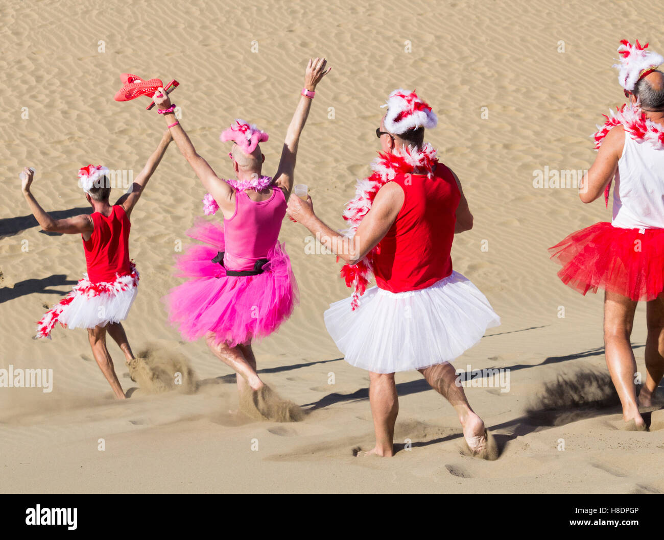 Start Of German Carnival Season Celebrations On Gay Nudist Beach At start-of-german-carnival-season-celebrations-on-gay-nudist-beach-at
