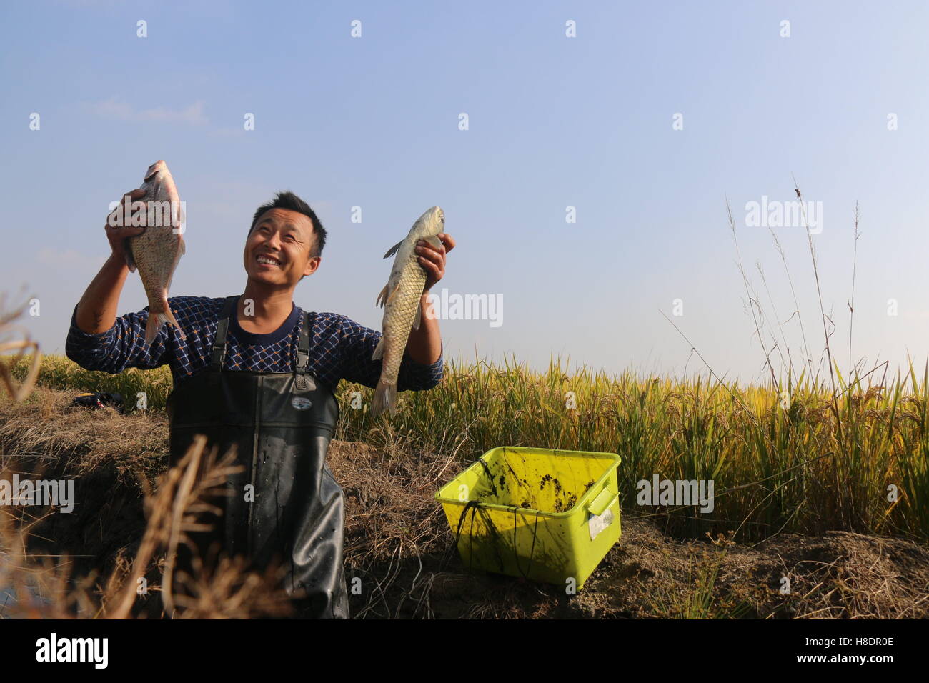 Bengbu, Bengbu, China. 11th Nov, 2016. Bengbu, CHINA-November 11 2016 ...