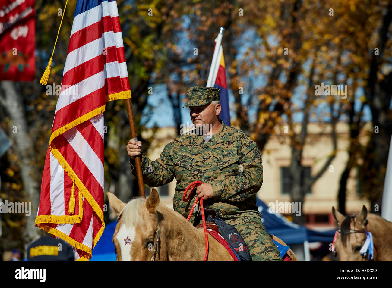 Veterans day parade reno nv 2024