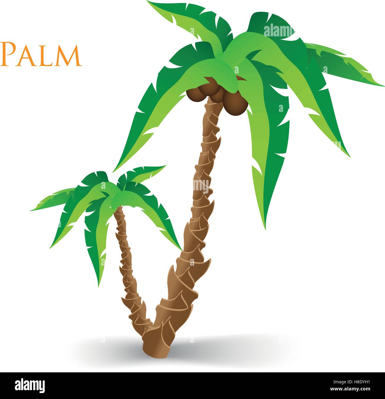 Vector illustration of the palm tree Stock Vector