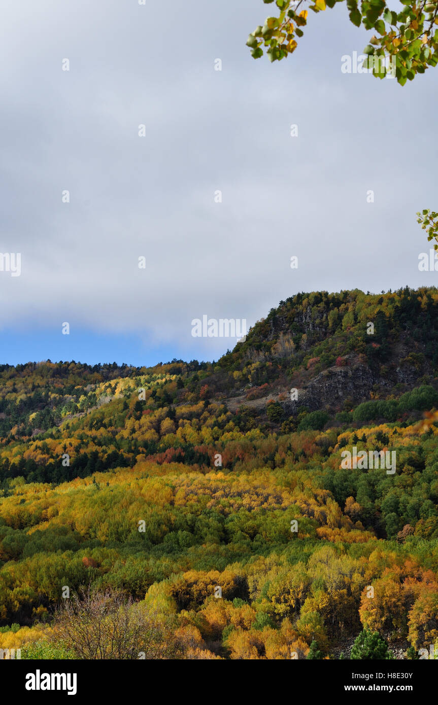 Outdoor fall colors Stock Photo