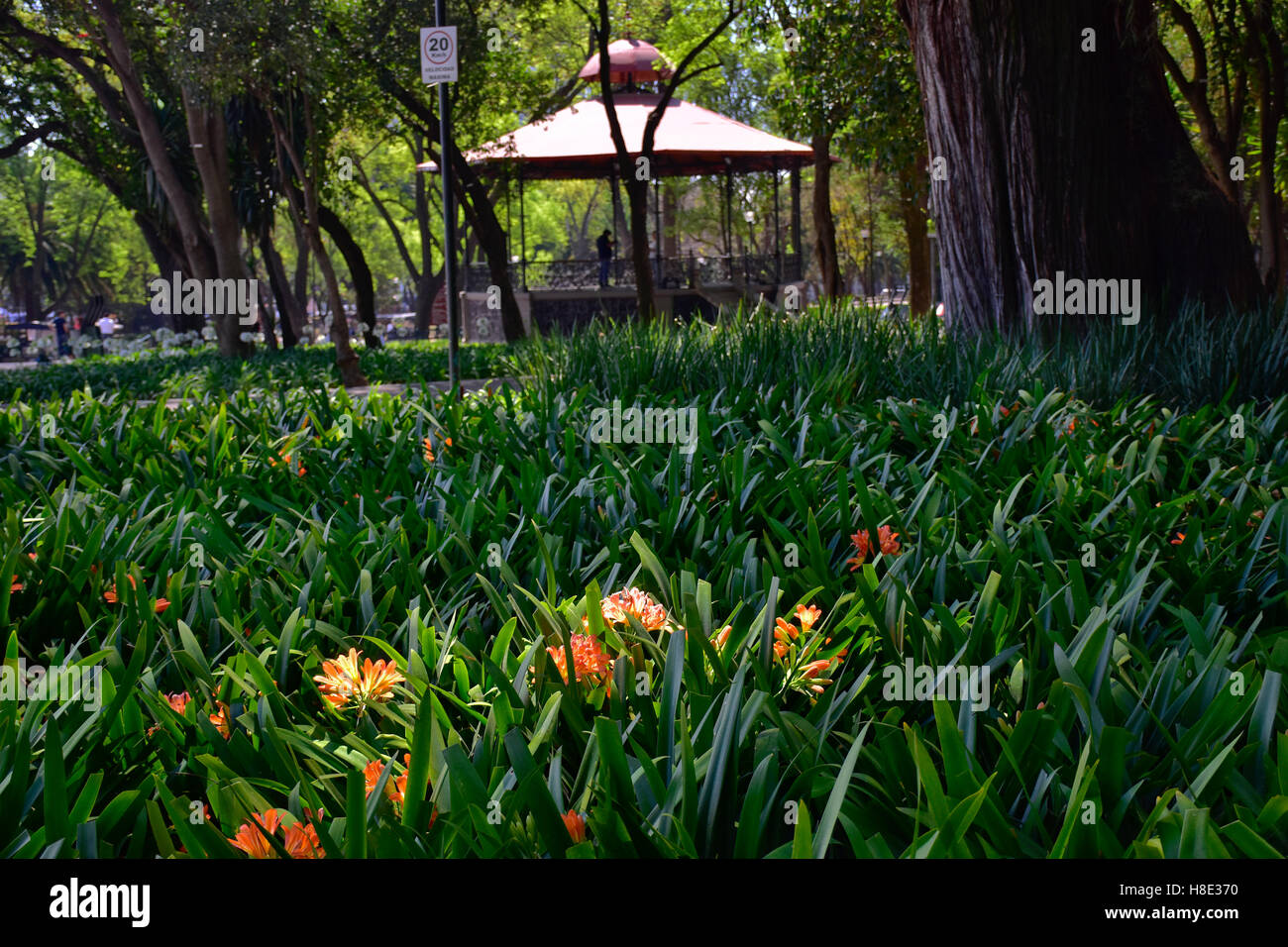 Chapultepec  Park, Mexico City, D.F., Mexico Stock Photo