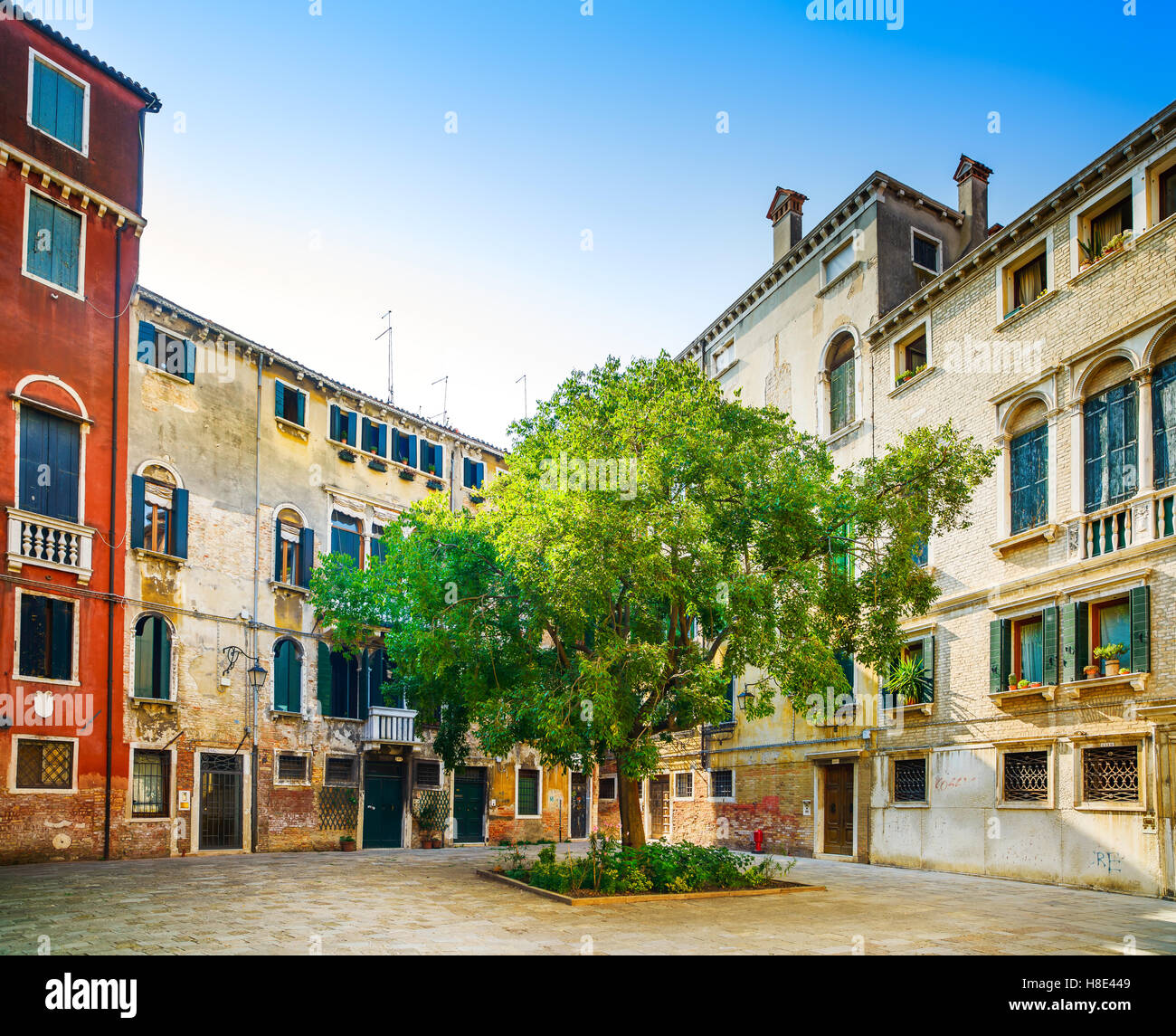 Venice cityscape, tree and buildings in a square. Italy, Europe. Stock Photo