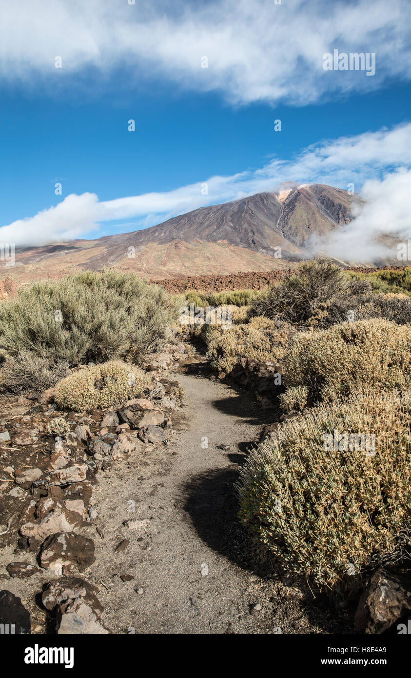 Trail on the Teide National Park in Tenerife (Spain) Stock Photo