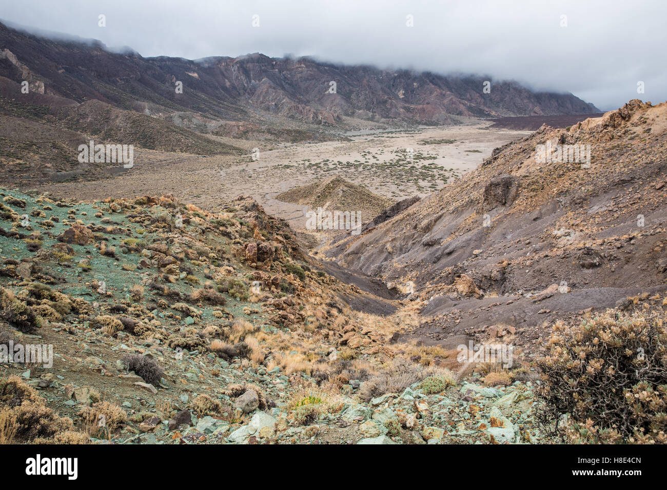 Green rocks of Los Azulejos in Tenerife, Spain Stock Photo