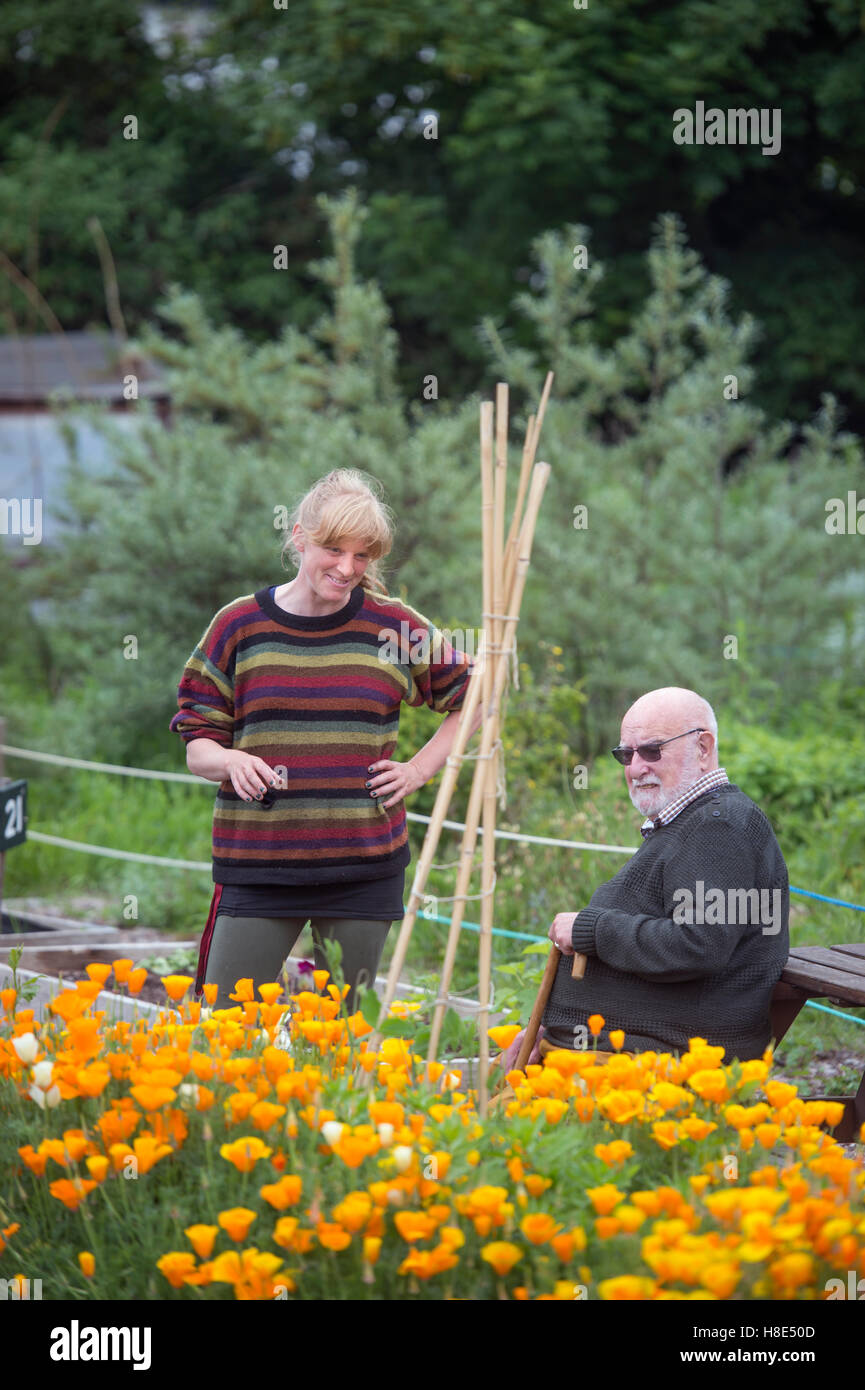 The Golden Hill Community Garden in Bristol UK Stock Photo