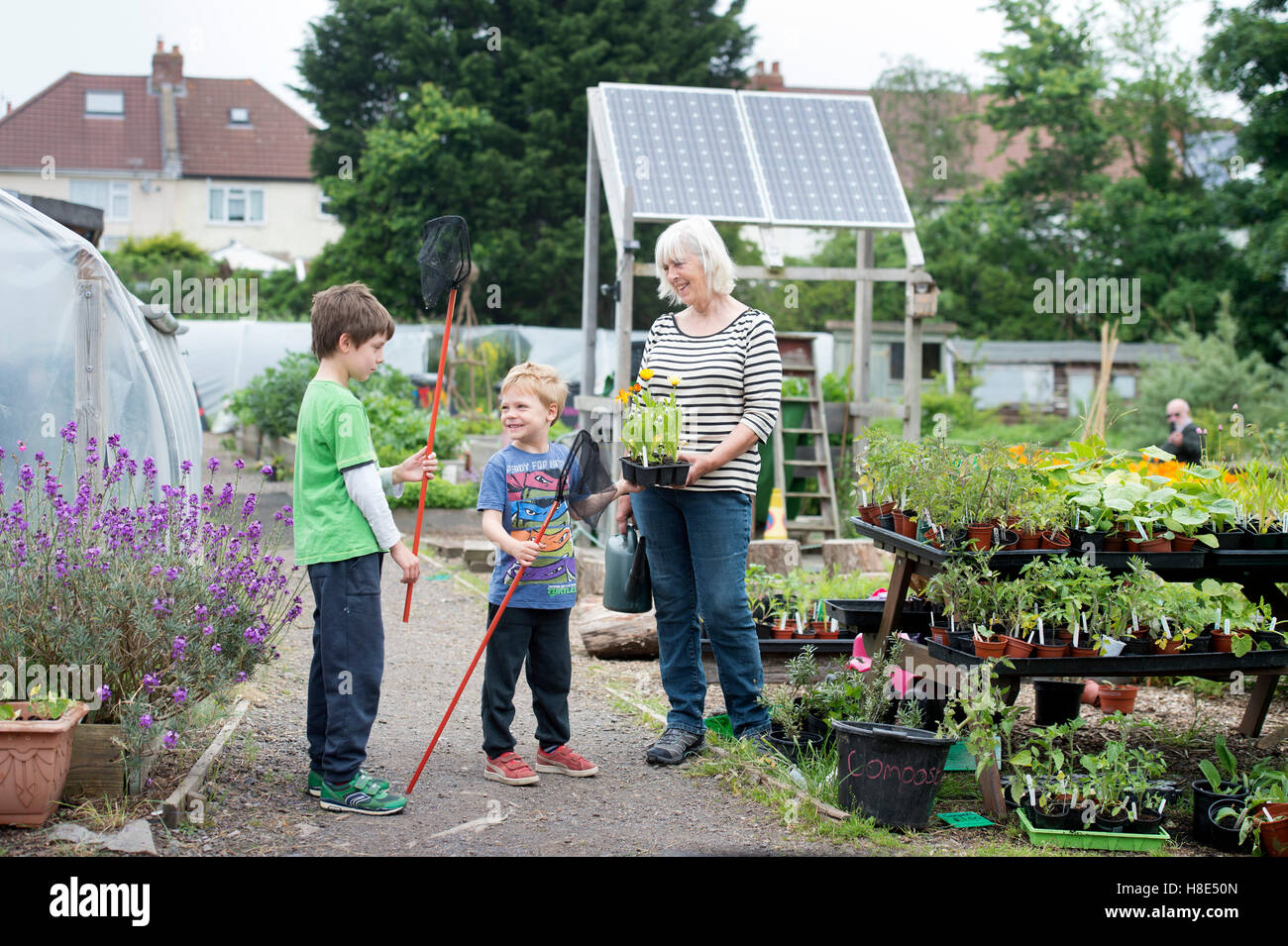 The Golden Hill Community Garden in Bristol UK Stock Photo