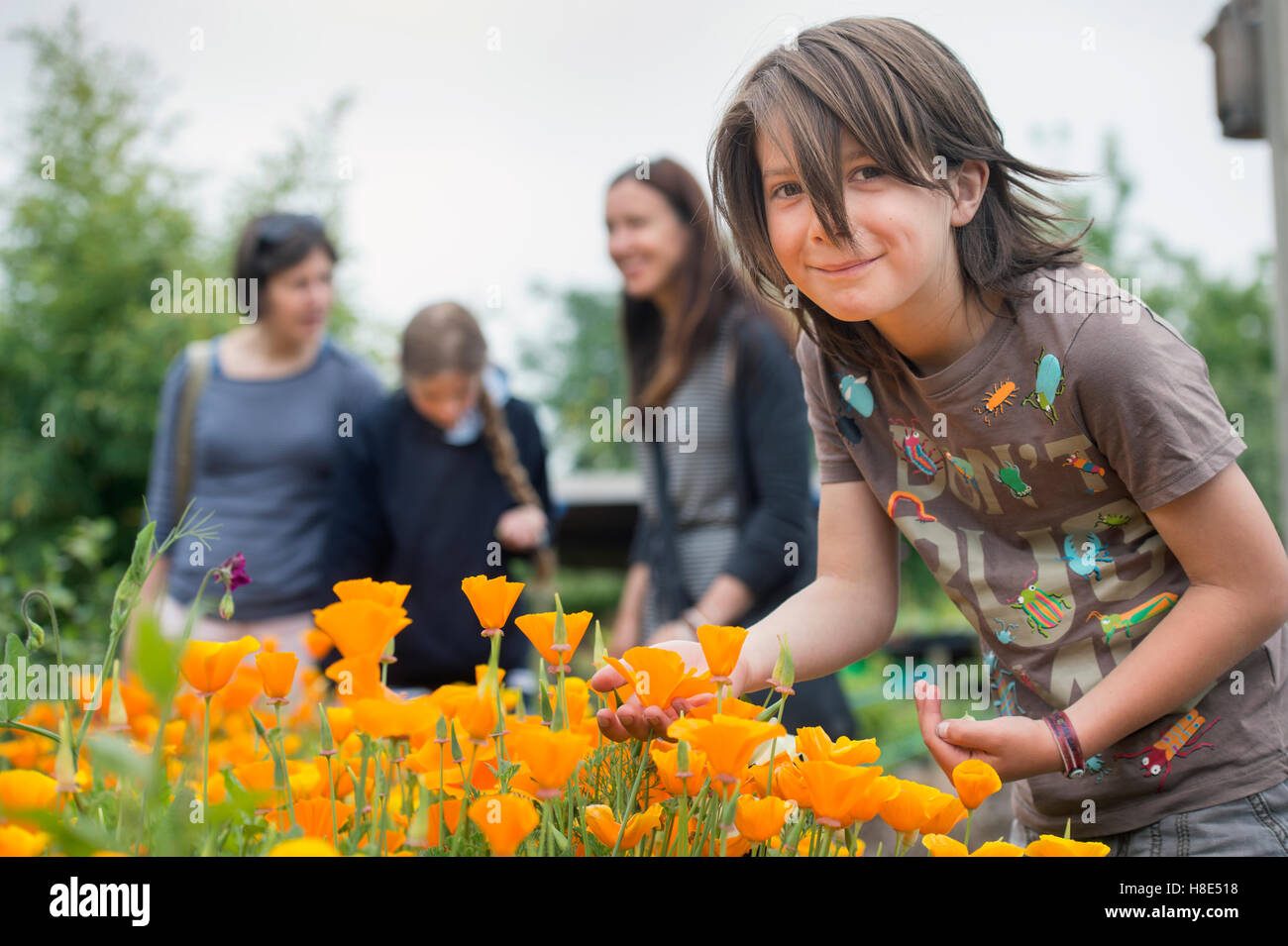 The Golden Hill Community Garden in Bristol UK Stock Photo