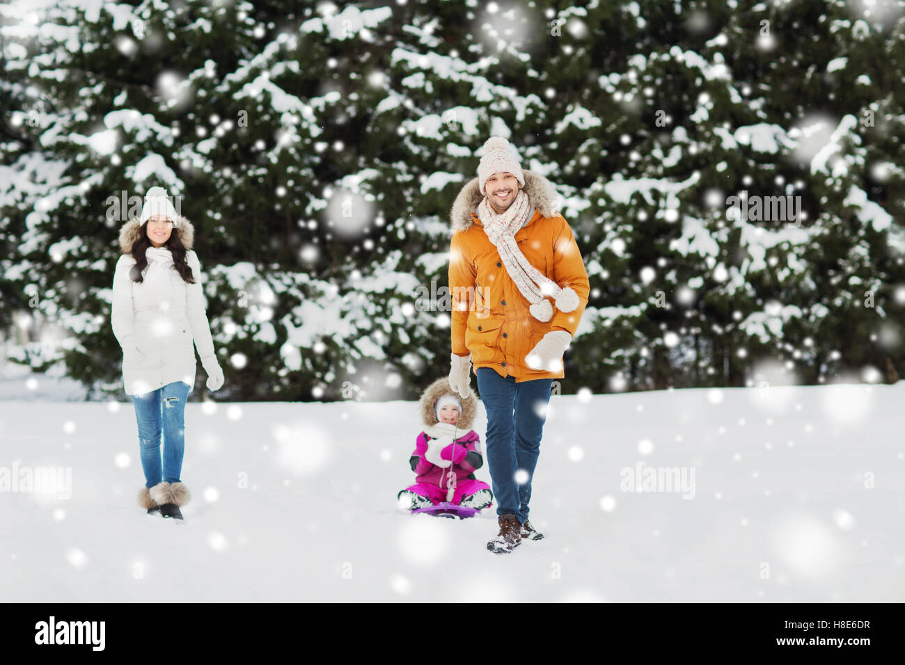 happy family with sled walking in winter forest Stock Photo - Alamy
