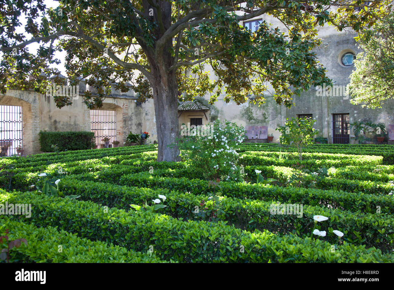 Spring Time Renaissance Springtime in the Renaissance style gardens of the Palace of Los Ribera ...