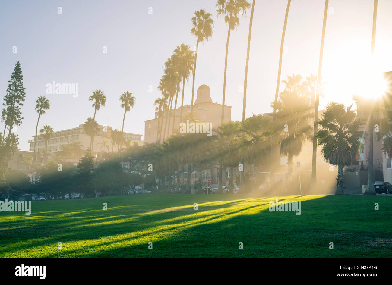 Sunrise at Ellen Browning Scripps Park. La Jolla, California, USA Stock  Photo - Alamy