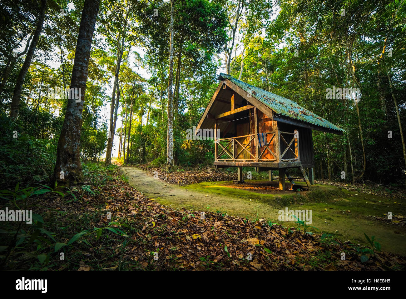 Cabin in the Woods Stock Photo Alamy