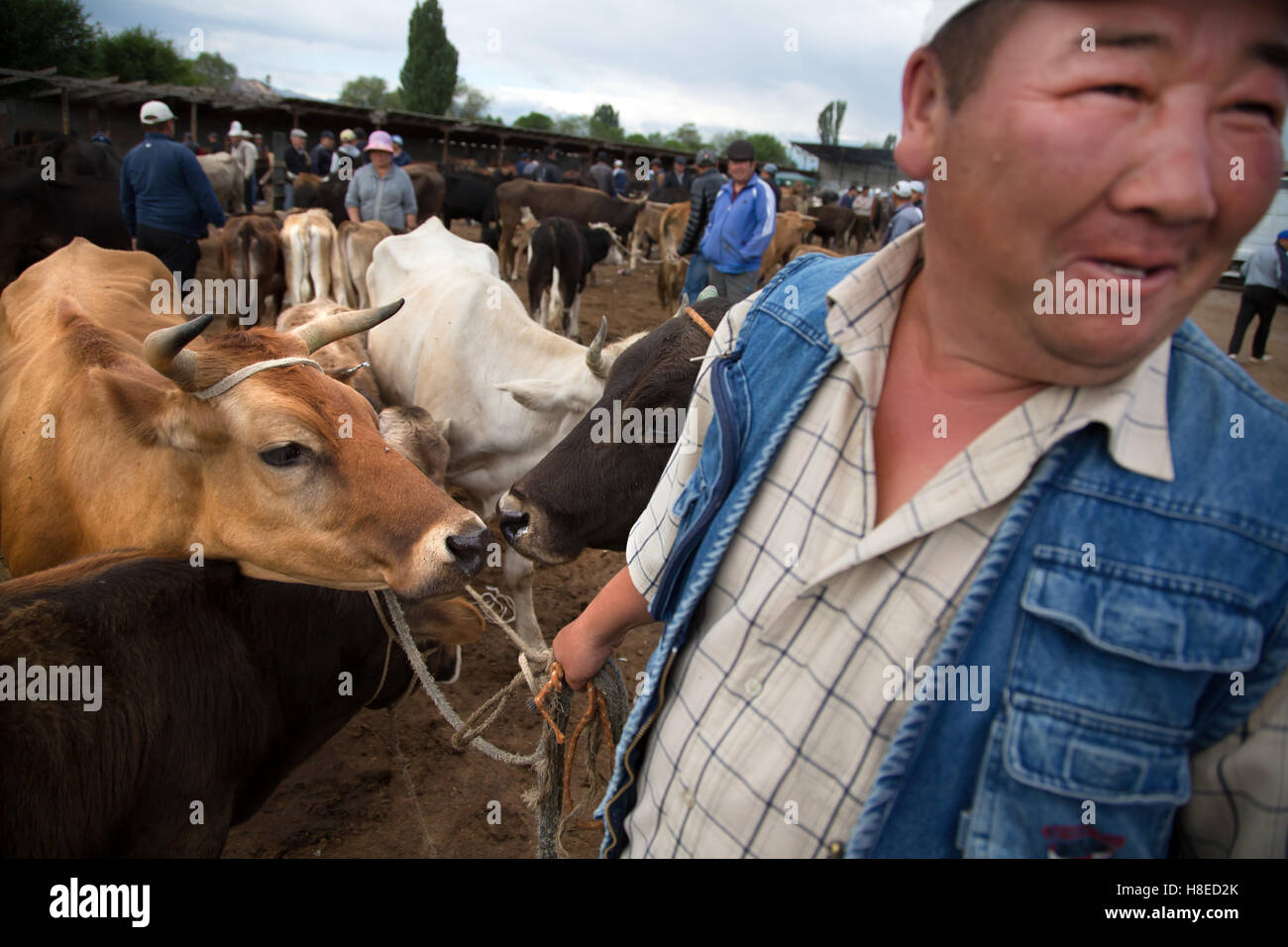 Kyrgyzstan - pictures -  Travel people Central Asia Stock Photo