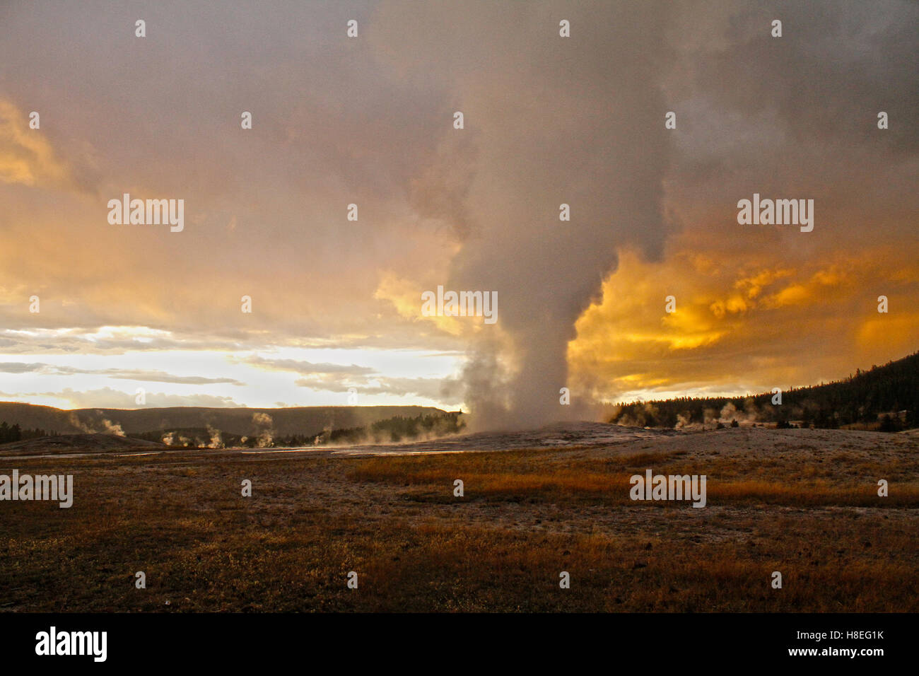 Old Faithful Geyser, Yellowstone National Park, Wyoming Stock Photo - Alamy