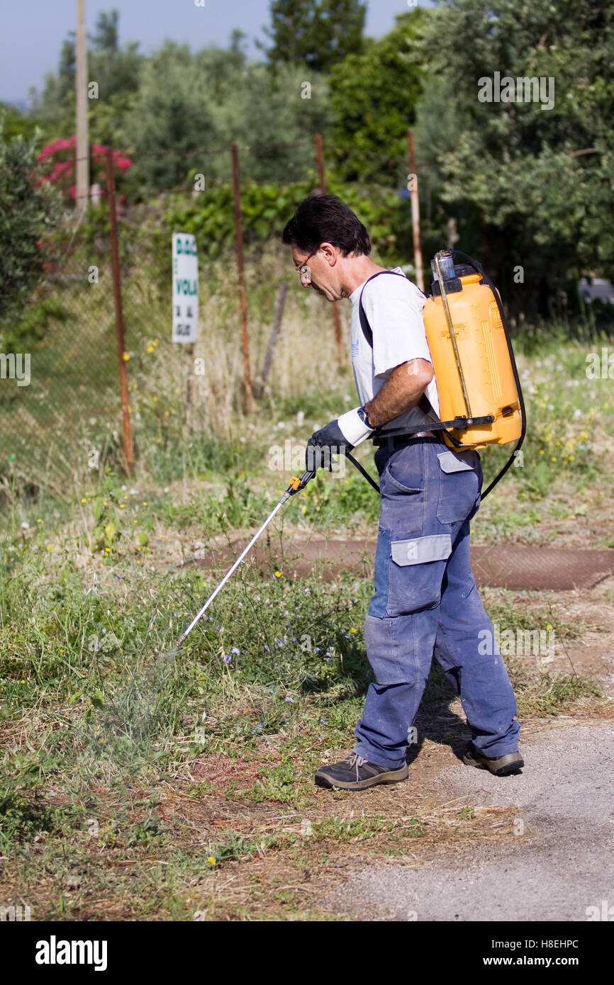 farmer giving pesticide Stock Photo - Alamy