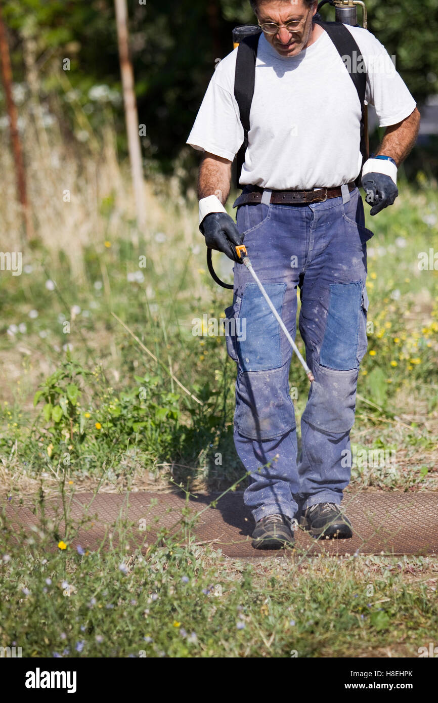 farmer giving pesticide Stock Photo - Alamy