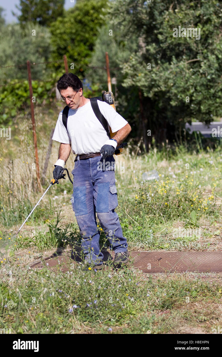 farmer giving pesticide Stock Photo - Alamy