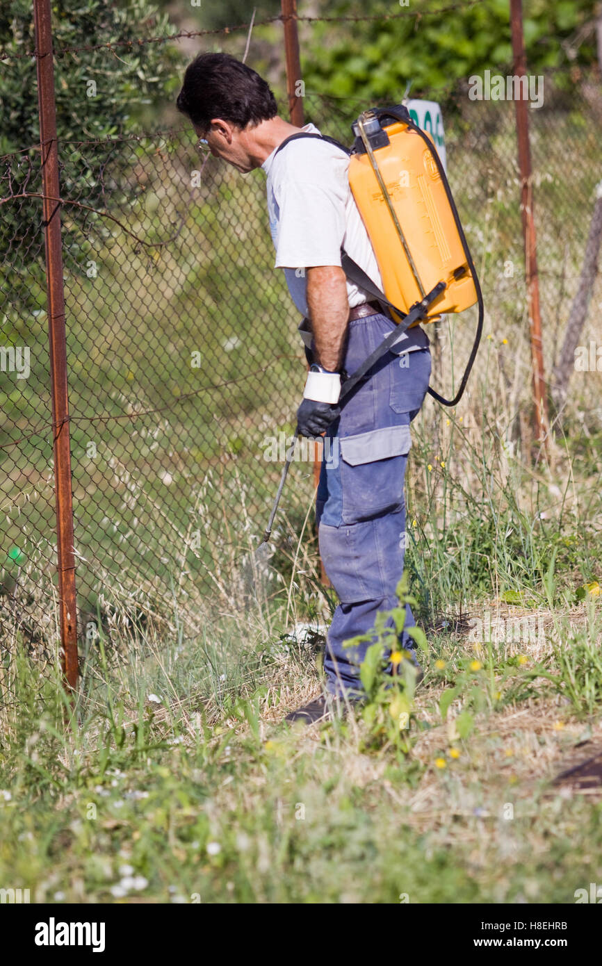 farmer giving pesticide Stock Photo - Alamy