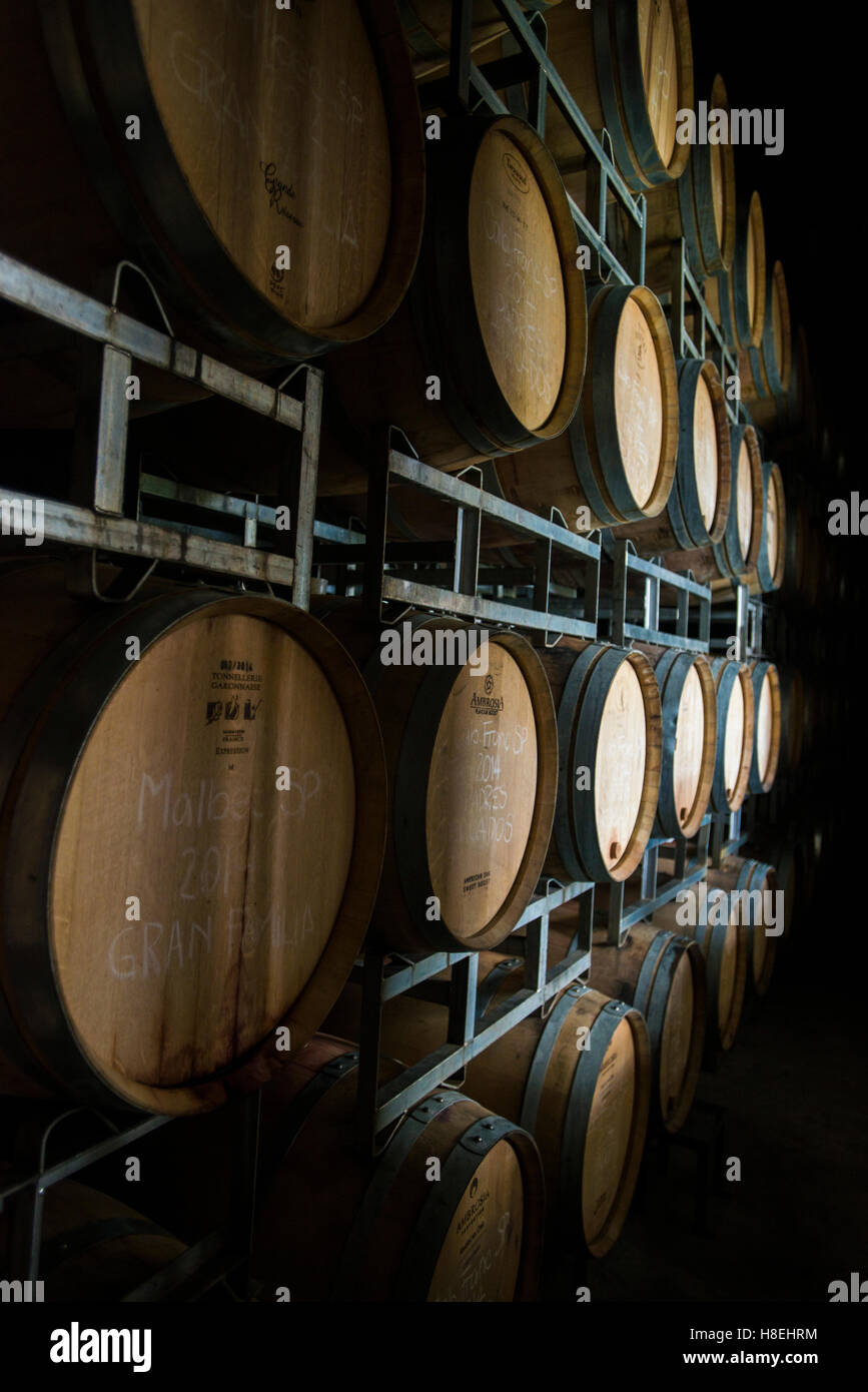 Wine in oak barrels in the Uco Valley near Mendoza, Argentina, South America Stock Photo