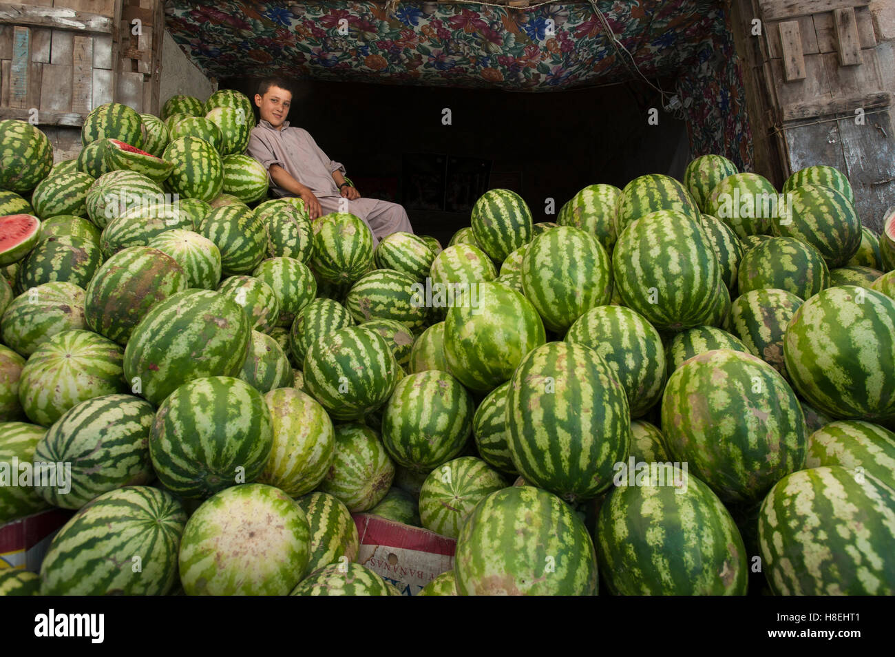 A boy in a market rests on a giant pile of water melons, Herat