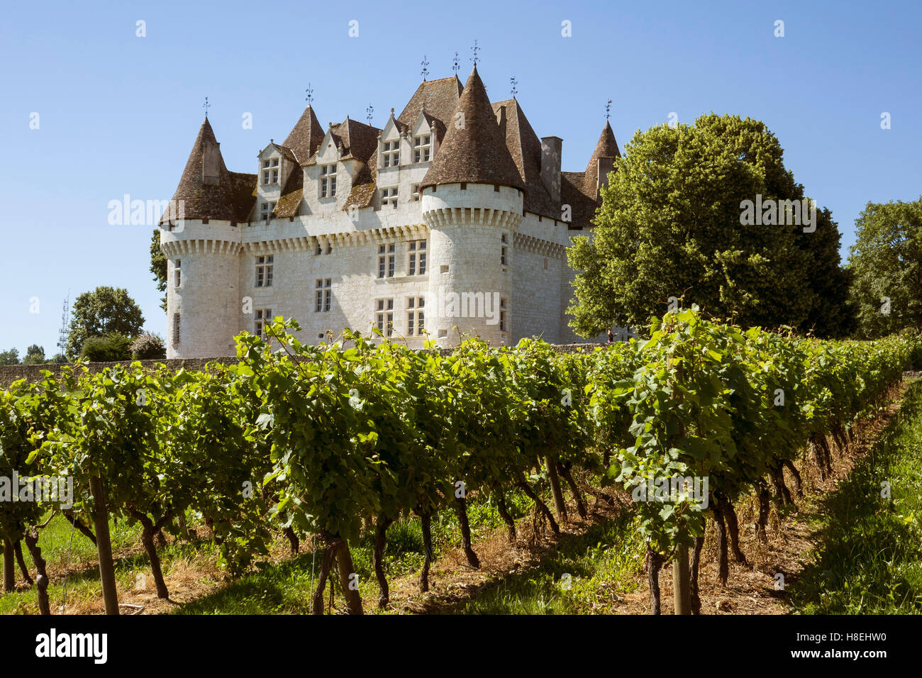 Chateau and Vineyard, Montbazillac, Dordogne, France, Europe Stock Photo