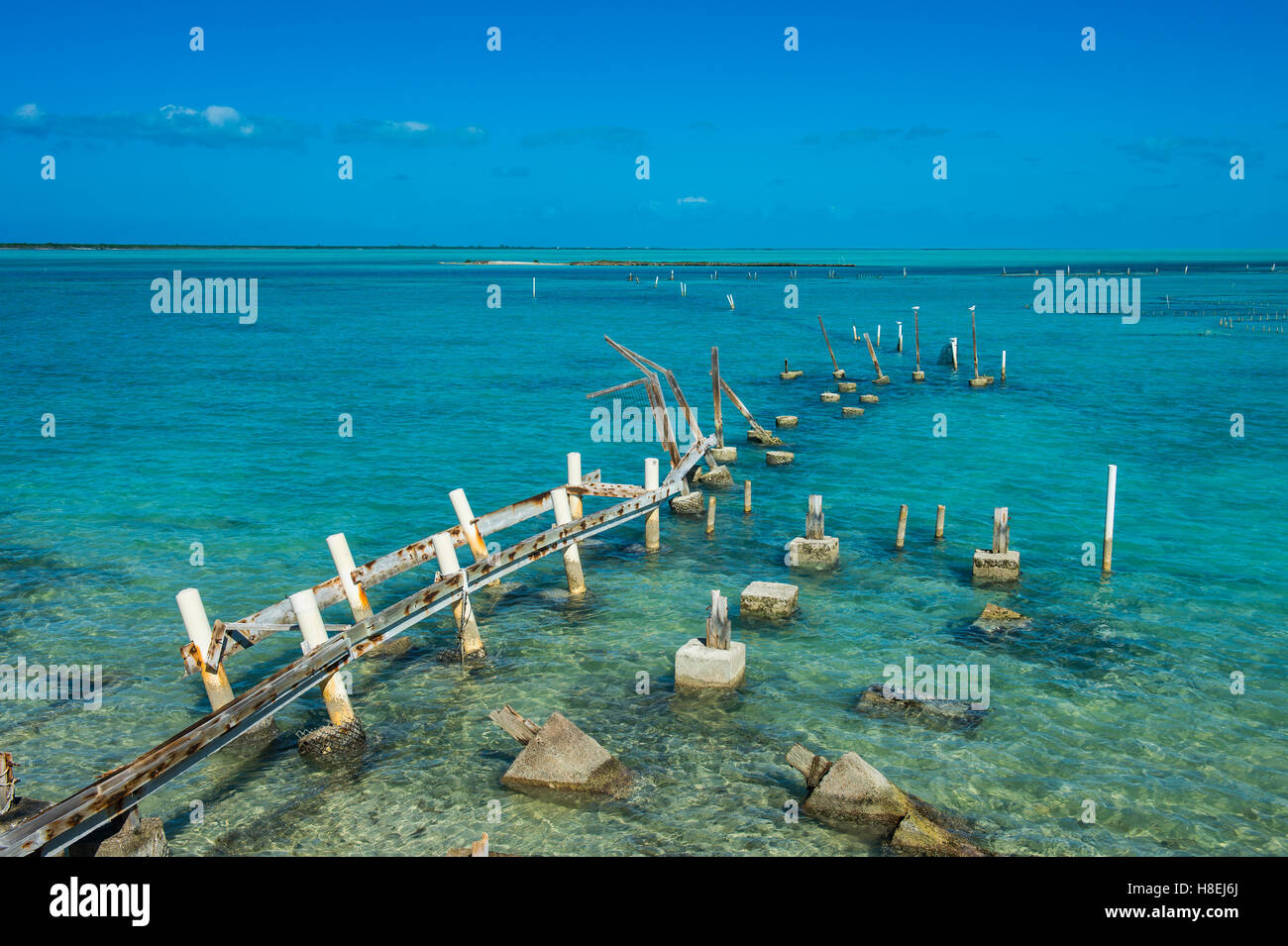 Caicos conch farm, Providenciales, Turks and Caicos, Caribbean, Central