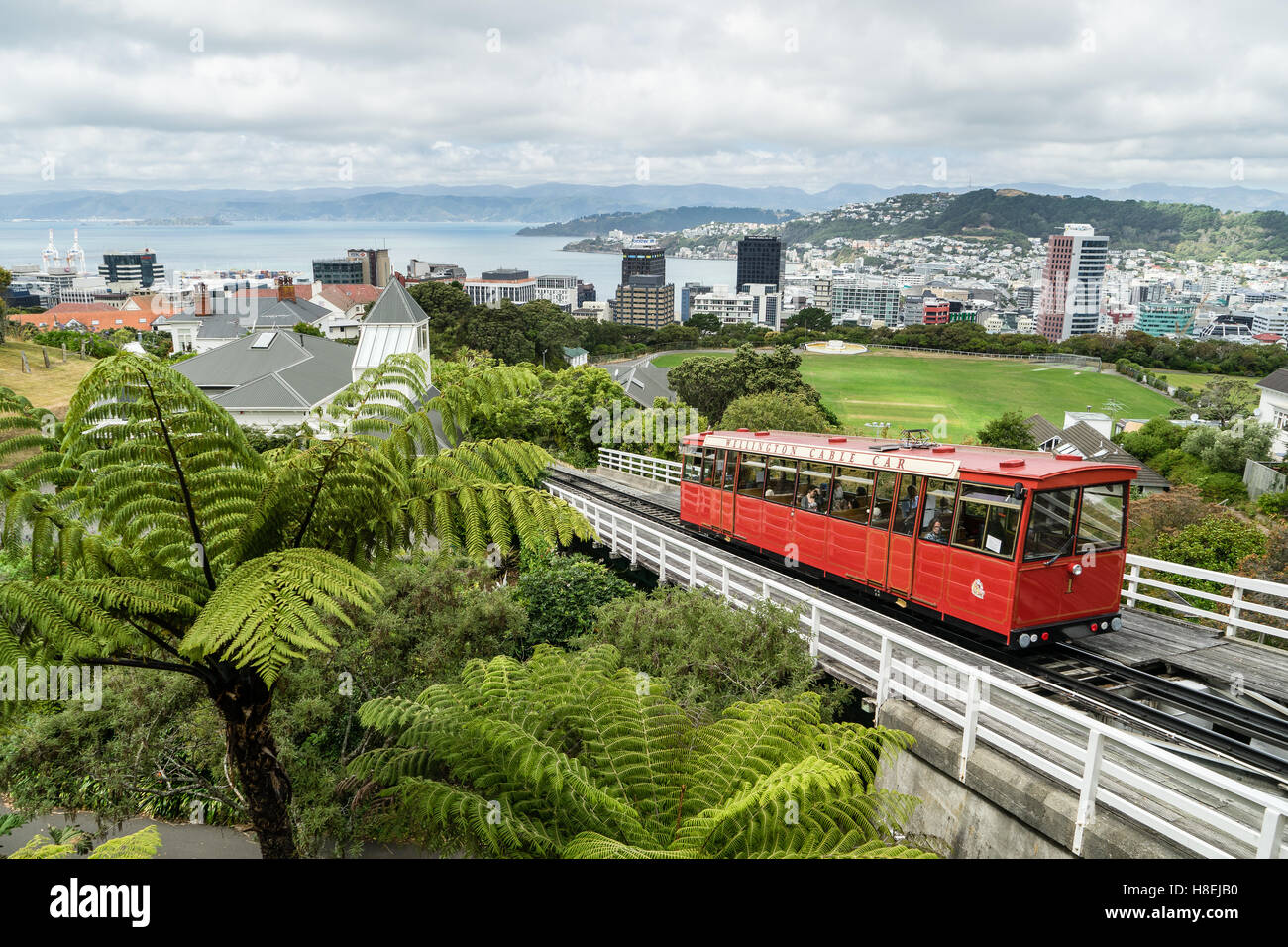 A cable car heads up the funicular railway high above Wellington, the capital city, North Island, New Zealand, Pacific Stock Photo