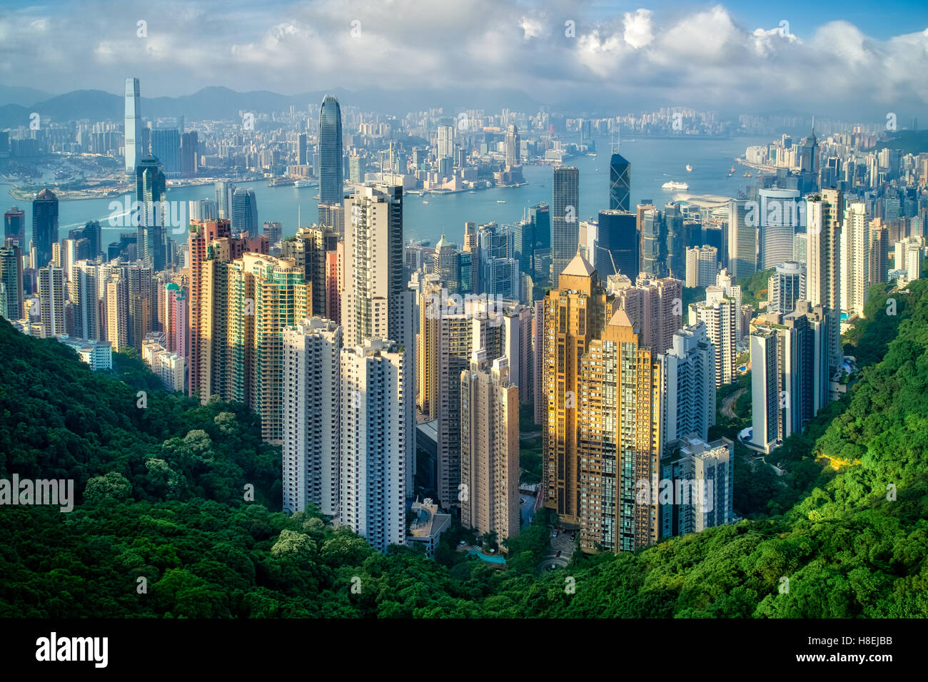 Hong Kong on a summer afternoon seen from Victoria Peak, Hong Kong, China, Asia Stock Photo