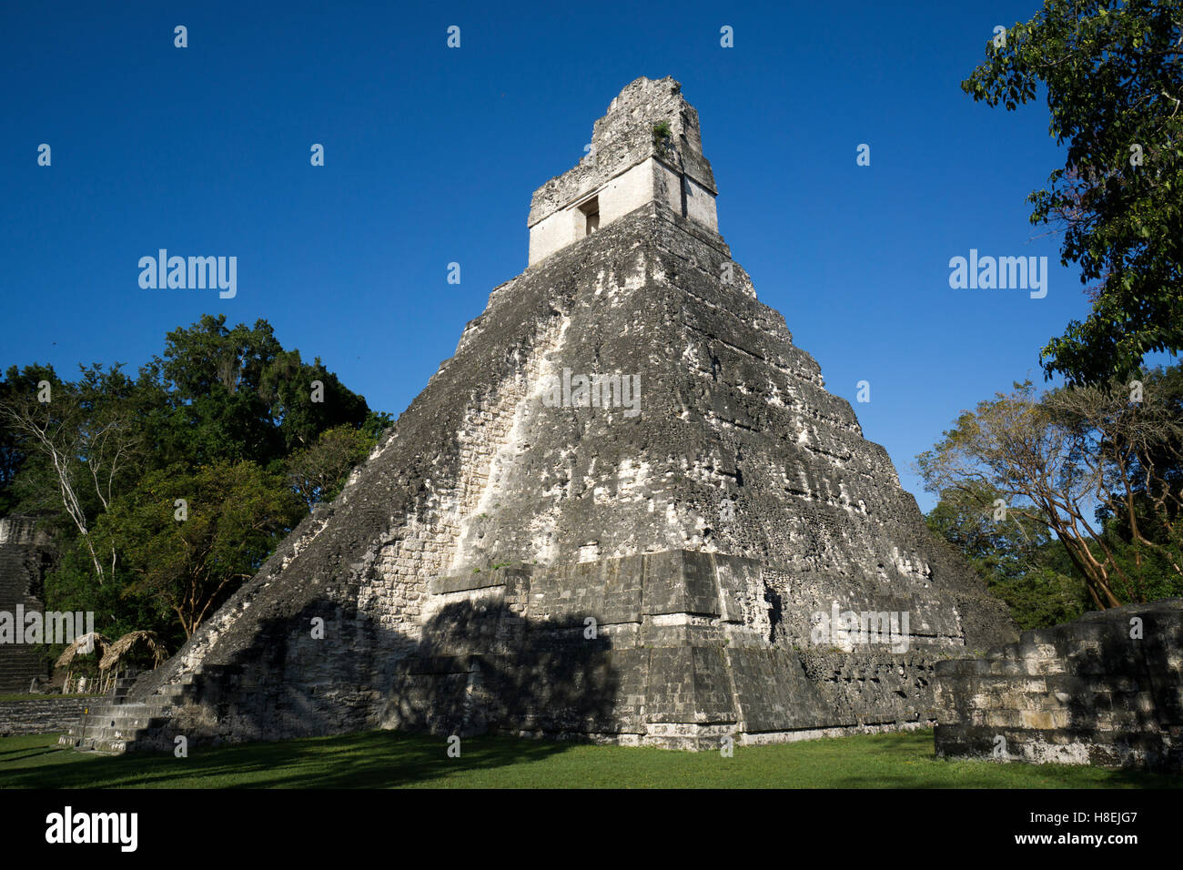 Tikal temple 1, Pre-Columbian Maya civilisation, Tikal, UNESCO World Heritage Site, Guatemala, Central America Stock Photo