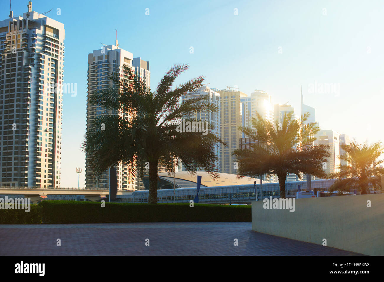 beautiful apartment buildings and palm trees in the city Stock Photo