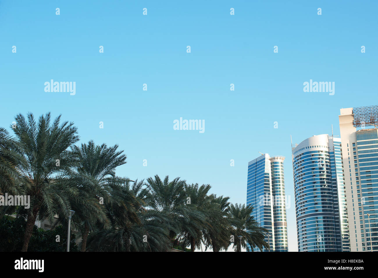 beautiful apartment buildings and palm trees in the city Stock Photo