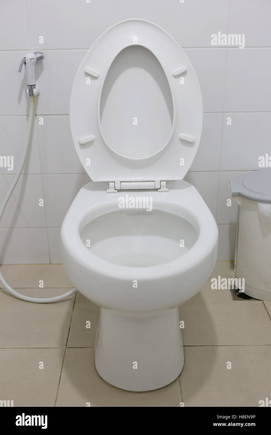 Modern Toilet bowl in a men bathroom,white ceramic flush toilet for men ...