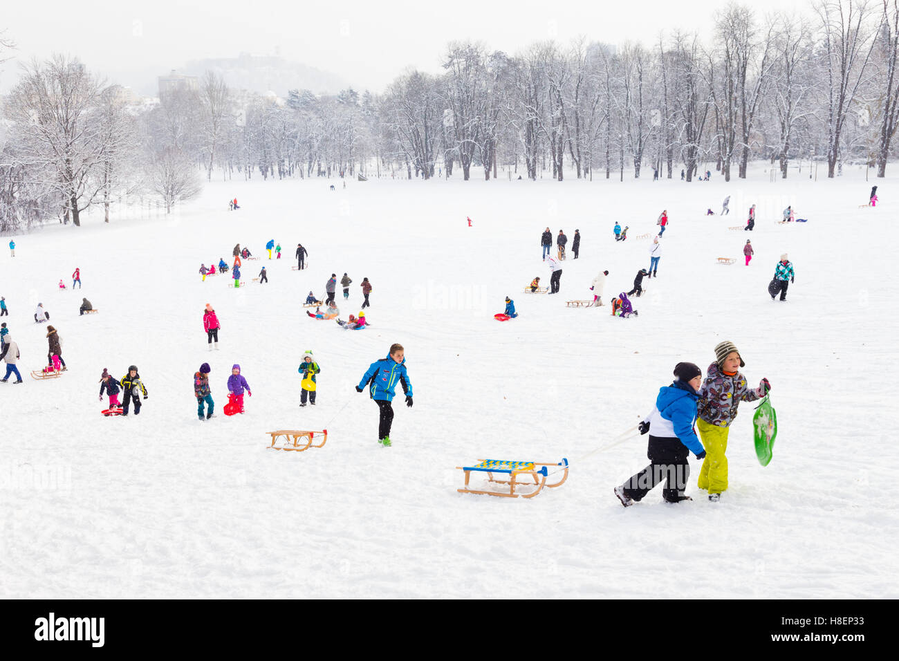 Winter fun, snow, family sledding at winter time. Stock Photo