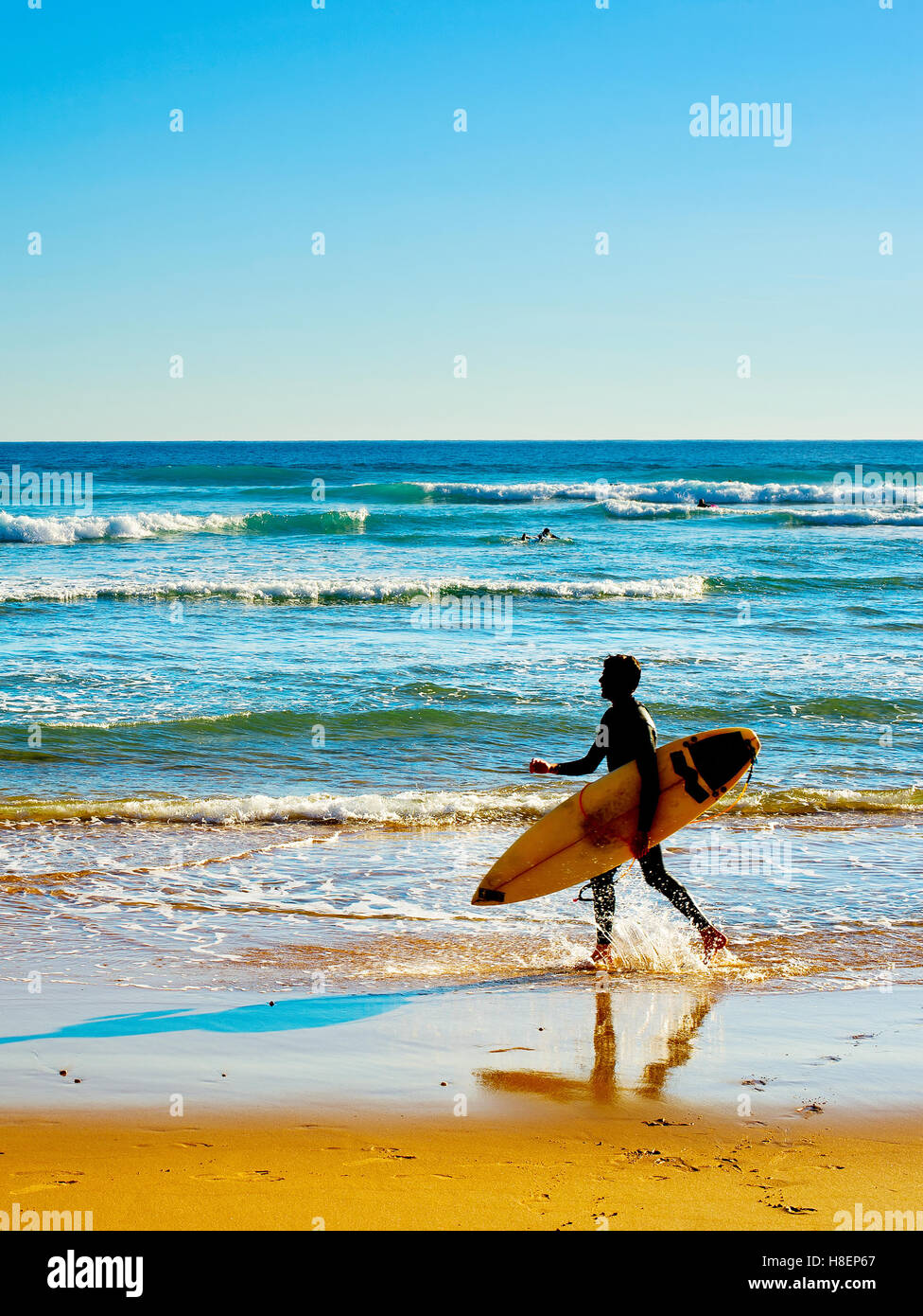 Surfer with surfboard walking on the ocean beach Stock Photo - Alamy